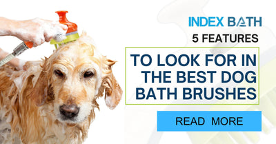 5 Features to Look for in the Best Dog Bath Brushes