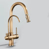 2 in 1 Antique Brass Pull Out Nozzle Kitchen Purification Mixer Tap