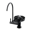 2-in-1 Stainless Steel Purifier Kitchen Faucet with Glass Rinser
