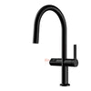 Kitchen Faucet Pull-out Single Handle Dual Function Sink Faucet