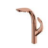 Kitchen Faucet With Pull-out Design 2-function Modern Sink Tap