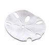 Aesthetic Leaf Design Soap Dish