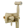 Antique Brass Bidet Sprayer Set Hot Cold Toilet Cleaning Sprayer