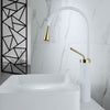 Bathroom Faucet Black Gold Basin Faucet Hot and Cold Sink Brass Faucet