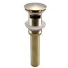 Brass Basin Pop-Up Drain Bottle Trap Kit Bath Sink P-Trap Waste Drain