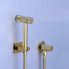Brass Handheld Toilet Bidet Sprayer Bathroom Shattaf System Douche kit