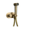 Brushed Gold Bidet Faucet Hand Portable Faucet With Cover Paper Holder
