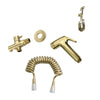 Brushed Gold Bidet Sprayer Toilet Cleaning Hand Spray with Brass Body