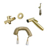 Brushed Gold Bidet Sprayer Toilet Cleaning Hand Spray with Brass Body