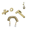 Brushed Gold Bidet Sprayer Toilet Cleaning Hand Spray with Brass Body