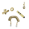 Brushed Gold Bidet Sprayer Toilet Cleaning Hand Spray with Brass Body