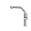 Dual-Spout Stainless Steel Kitchen Faucet Pull-Out Sink Mixer Tap