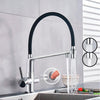 Flexible Brass Kitchen Water Filter Faucet Kitchen Faucets Dual Spout Filter Faucet In Colors