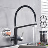 Flexible Brass Kitchen Water Filter Faucet Kitchen Faucets Dual Spout Filter Faucet In Colors