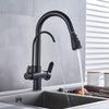 Flexible Brass Kitchen Water Filter Faucet Kitchen Faucets Dual Spout Filter Faucet In Colors