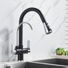 Flexible Brass Kitchen Water Filter Faucet Kitchen Faucets Dual Spout Filter Faucet In Colors