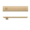 Gold Stainless Steel Linear Shower Floor Drain with Anti-Odor Strainer