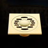 Golden Shower Drain Bathroom Floor Drain Washing Machine Waste Drain