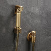 Hand Held Bidet Sprayer Douche Toilet Kit Antique Bronze Bidet Faucet