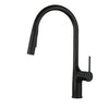 Kitchen Faucet Brass Single Handle Pull Out Sink Faucet Modern Tap