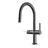 Kitchen Faucet Pull-out Single Handle Dual Function Sink Faucet