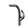 Kitchen Faucet With Pull-out Design 2-function Modern Sink Tap