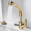 Kitchen Faucet With Shower Head Sink Faucet Pull Out Sink Faucet