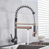 Kitchen Spring Faucet Pull Down Pull Out Dual Spouts 360 Rotation Tap