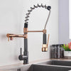 Kitchen Spring Faucet Pull Down Pull Out Dual Spouts 360 Rotation Tap