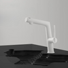 Multifunctional Stainless Steel Pull-Out Basin Faucet Hand Wash Faucet