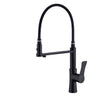 Pull Down Kitchen Sink Faucet Water Mixer Tap with Dual Spout Deck Faucet