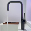 Pull-Out Brass Kitchen Faucet Rotating Spout Hot Cold Sink Mixer Tap
