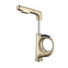 Pull-Out Sprayer Adjustable Height Dual-Mode Stainless Steel Mixer Tap