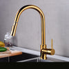 Rotatable Thickened Brass Kitchen Faucet Pull Out Spray Kitchen Tap