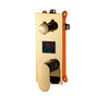 Shower Valve With Digital Temperature Display Shower Control