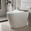 Smart Toilet with Built-In Bidet Auto Open/Close Lid Warm Water Sprayer