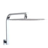 Stainless steel Gooseneck Shower Arm Ultrathin Rainfall Shower Head
