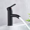 Stainless Steel Paint Basin Faucets Black Bathroom Faucet Mixer Tap