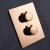 Thermostatic Shower Faucet Mixer Valve 2-3 Way Concealed Mount Box
