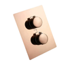 Thermostatic Shower Valve 2/3 Way Concealed Brass Wall-Mount Mixer