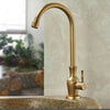 Antique Brass Outdoor Antifreeze Faucet 360° Swivel Cold Water Tap