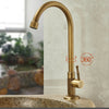 Antique Brass Outdoor Antifreeze Faucet 360° Swivel Cold Water Tap