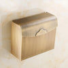 Waterproof Brass Toilet Paper Holder Wall Roll Dispenser with Cover