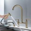 Kitchen Faucet with Hand shower Head Pot Filler Tap Deck Mounted Tap