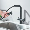 Brass Rotation Dual Sprayer Water Mixer Tap Pull Out Filtered Faucet