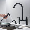 Kitchen Faucet with Hand shower Head Pot Filler Tap Deck Mounted Tap