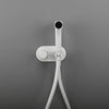 Wall-Mounted Brass Bidet Sprayer Set Hot Cold Shattaf Shower Mixer Tap