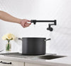 Wall Mounted Foldable Kitchen Faucet Sink Tap Rotate Folding Spout