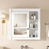 Wall Mounted Mirror Medicine Cabinet with Bathroom Storage Organizer